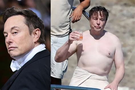 elon musk nude|Elon Musk tweets free the nip after going shirtless in Mykonos